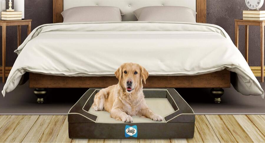 シーリードッグベッド｜Sealy Dog Bed – シーリー公式 SLEEP SELECT ONLINE SHOP