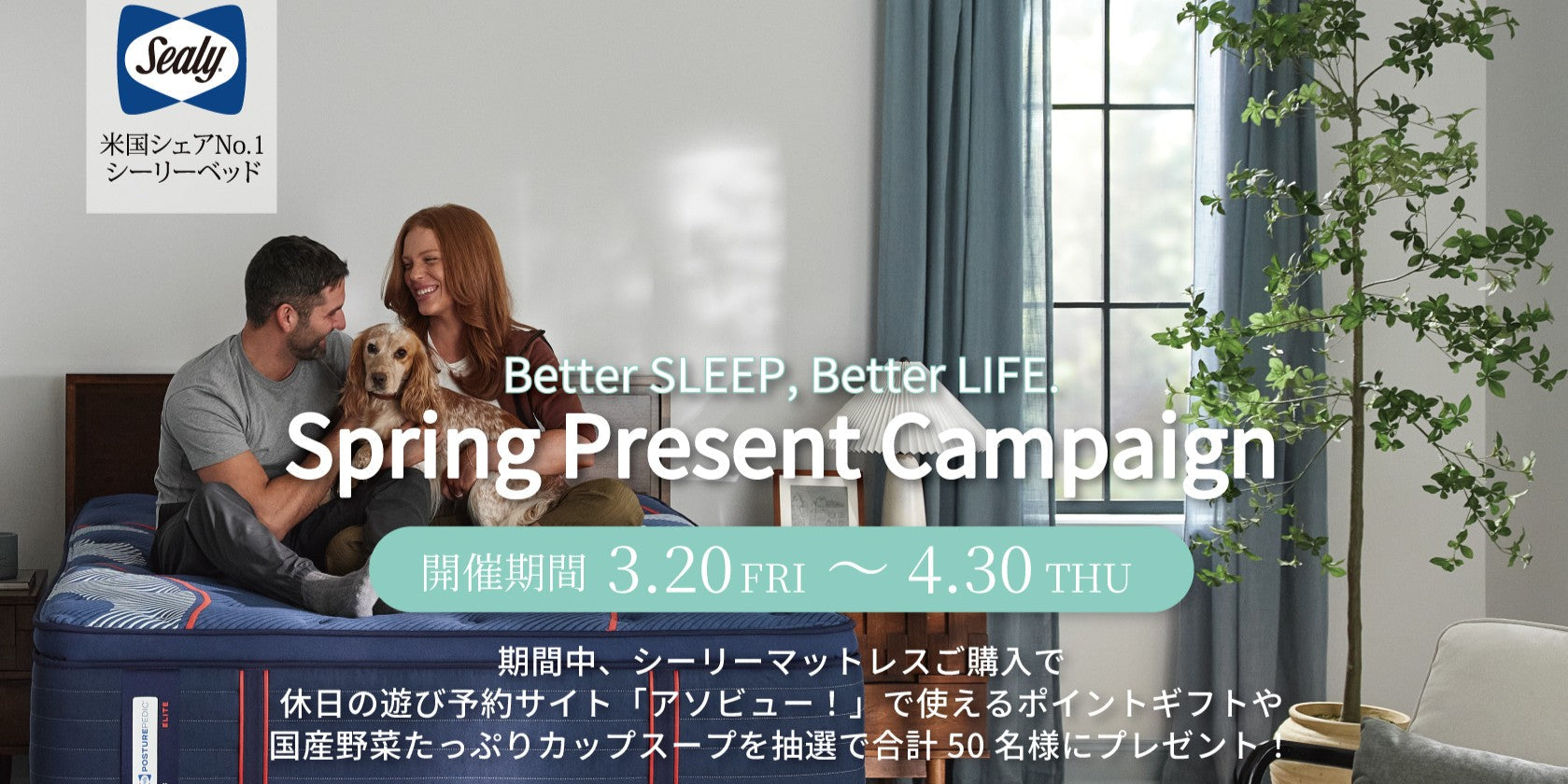 新着情報 – シーリー公式 SLEEP SELECT ONLINE SHOP