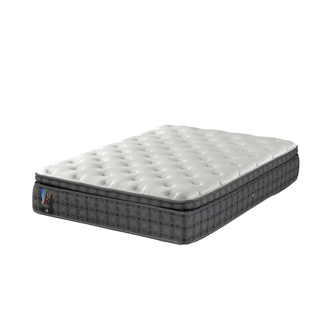 synergy_main2_2048x.jpg?v=