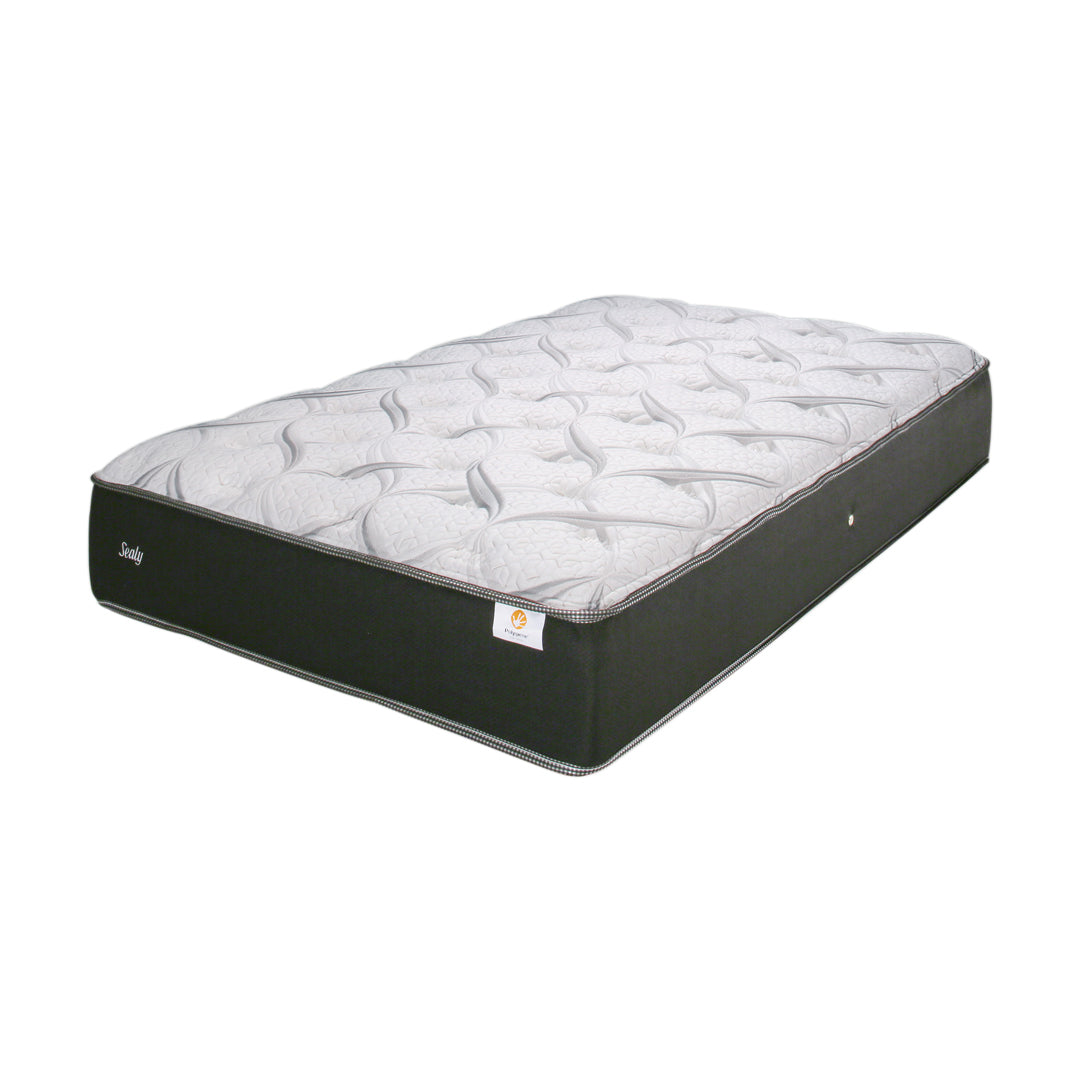 マスターピースTT