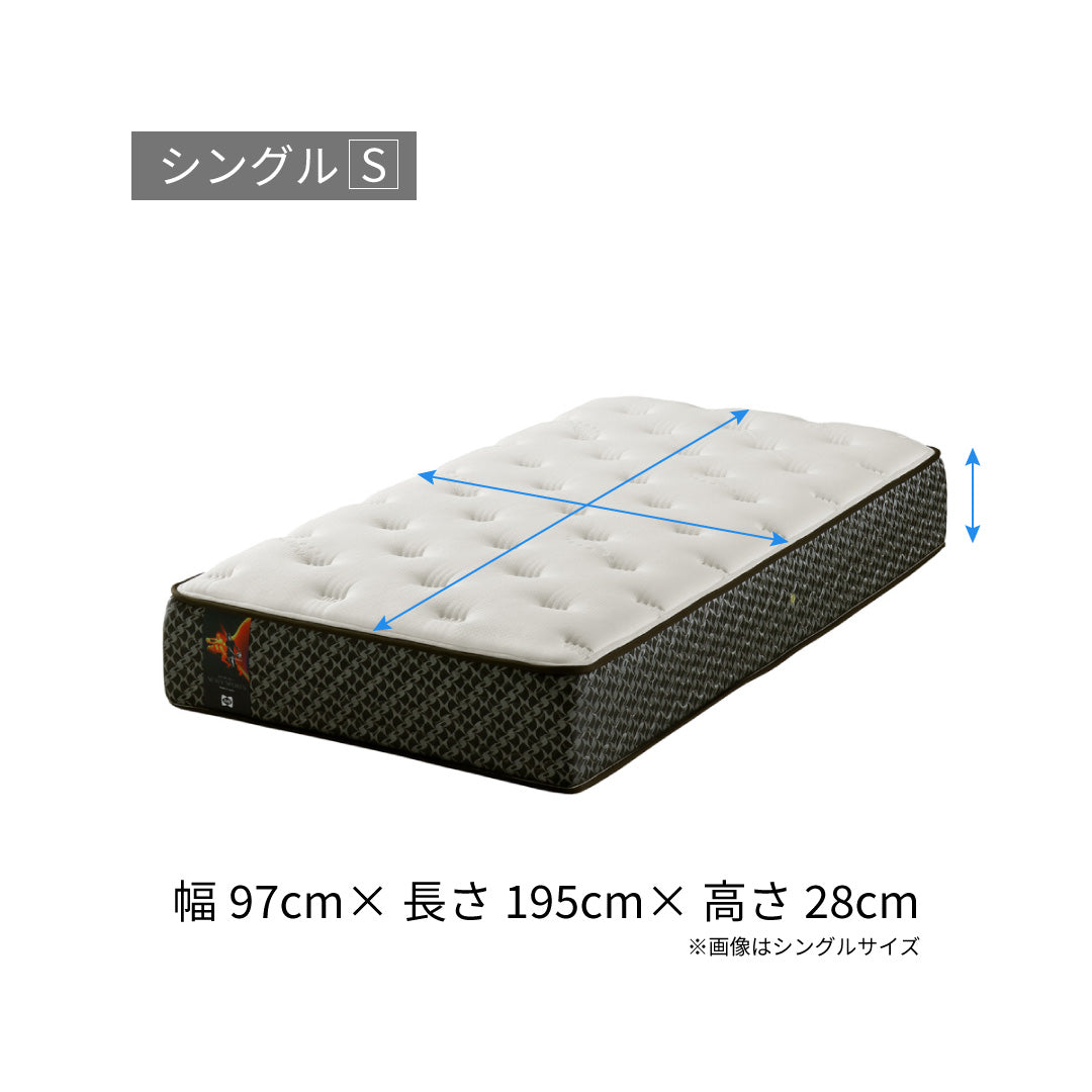 SEALY SPORTS RELEASE   シーリースポーツ　リリース リリース シーリースポーツマットレス｜Sealy（シーリー）公式